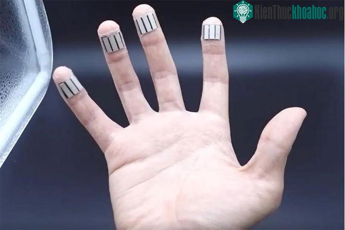 Các đầu ngón tay là vị trí hoàn hảo để đặt các dải vi mạch.