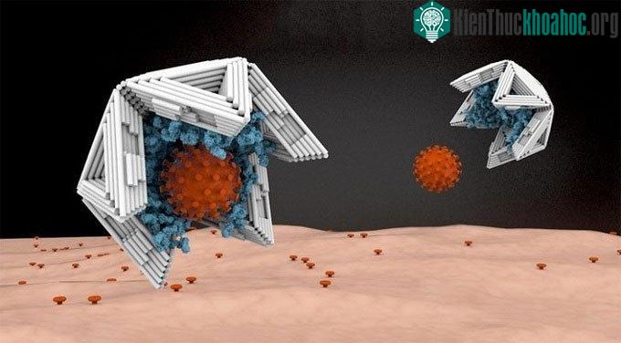 Bẫy có kích thước nano