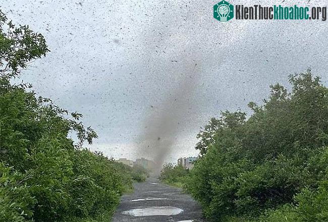 Cảnh tượng diễn ra tại bán đảo Kamchatka (Nga).