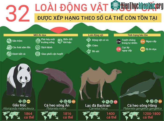 32 loài động vật sắp tuyệt chủng, 9 trong số đó chỉ còn dưới 100 cá thể
