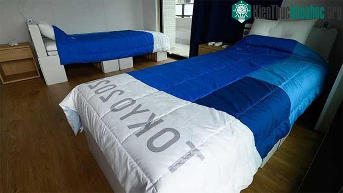 Giường làm bằng giấy cactông và nệm polythene ở làng Olympic Tokyo