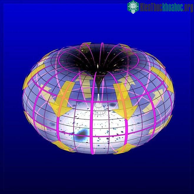 Mô hình vũ trụ với hình dạng torus ba chiều.