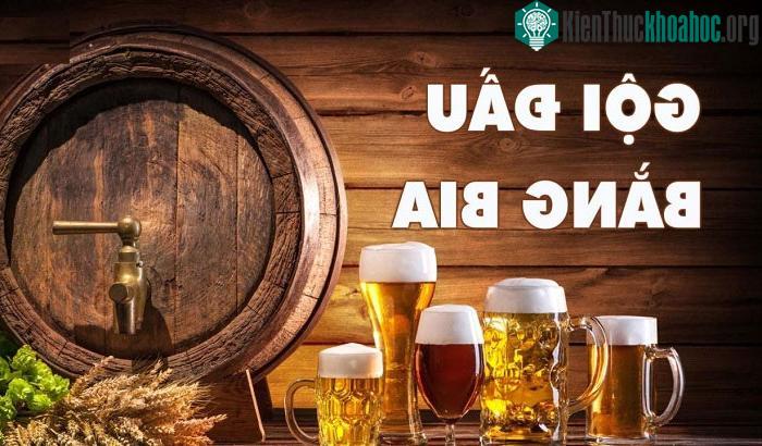 Thành phần của bia chứa rất nhiều protein có thể củng cố/cải thiện lớp biểu bì tóc