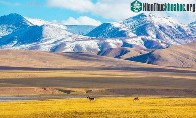 Cao nguyên Thanh Tạng được mệnh danh là "nóc nhà của thế giới".