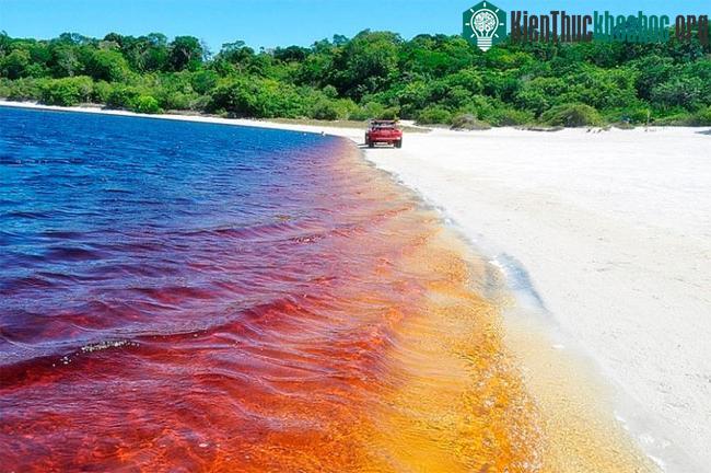 Coca Cola Lagoon