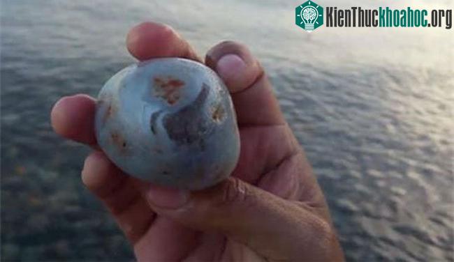 Hóa ra viên đá anh nhặt được lại là một khối mã não thô.