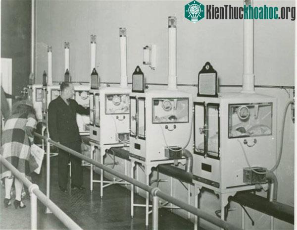 Những đứa trẻ trong lồng ấp được trưng bày năm 1934 ở New York, Mỹ.