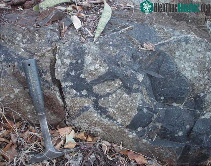 Khối trầm tích chứa hóa thạch vi khuẩn ở Vành đai Barberton Greenstone.