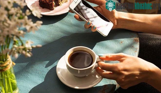 Ai bảo cà phê chỉ tốt cho người? Những con ong được "uống caffeine" cũng làm việc hiệu quả hơn bình thường ảnh 1