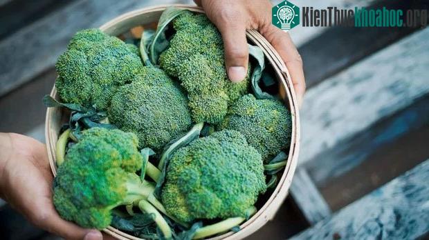 Top 11 thực phẩm tăng cường miễn dịch, phòng chống Covid-19 hiệu quả ảnh 1