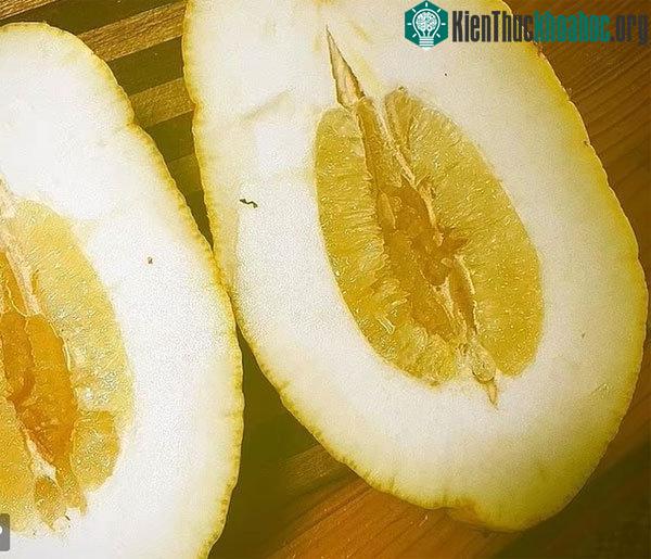Phần bên trong khi bổ đôi quả chanh