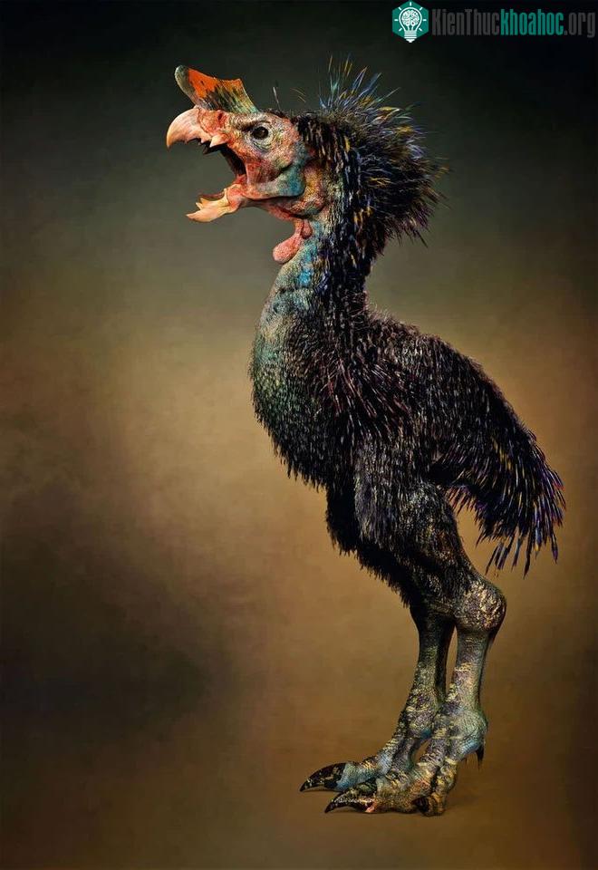 Tyrannornis rex