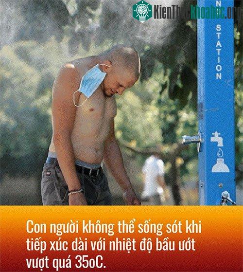 Nhiệt độ bầu ướt