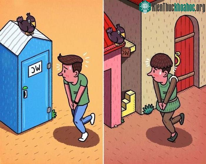Nhà vệ sinh ngoài trời