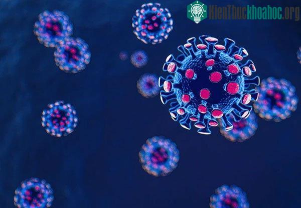 Virus corona