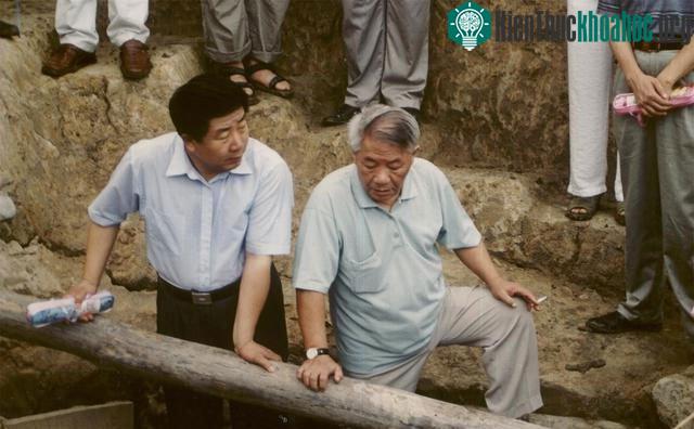 Việc bố trí "cuộc sống" sau khai quật cho chúng như thế nào đã trở thành một vấn đề nan giải