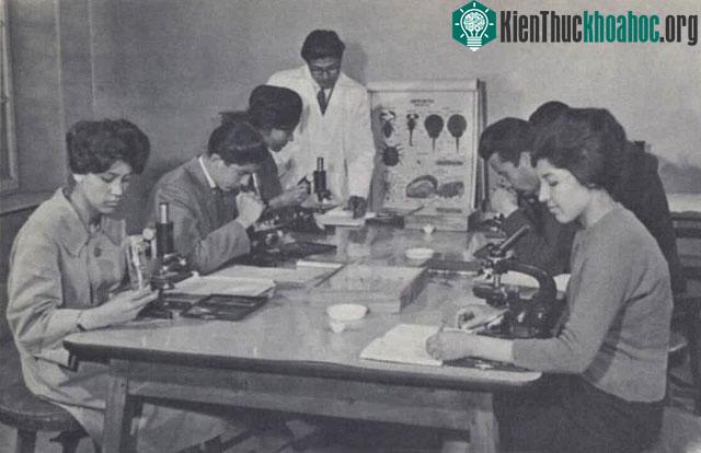 Khoa Sinh học, Đại học Kabul ở Afghanistan.