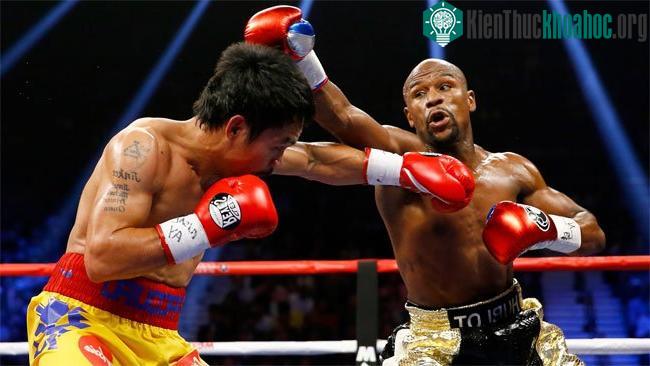 Trận đấu quyền anh giữa Floyd Mayweather và Manny Pacquiao.