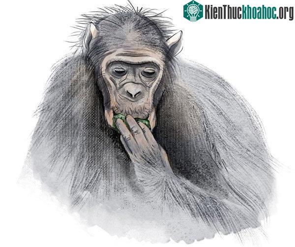 Cách uống và giữ nước cực thú vị của những loài động vật sống ở vùng khô hạn ảnh 3