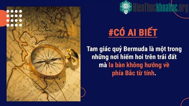Tam giác quỷ Bermuda là một khu vực mà la bàn từ tính chỉ hướng về phía bắc thực (một điểm cố định trên địa cầu) chứ không phải là phía bắc từ tính (hướng mà kim la bàn chỉ tới)
