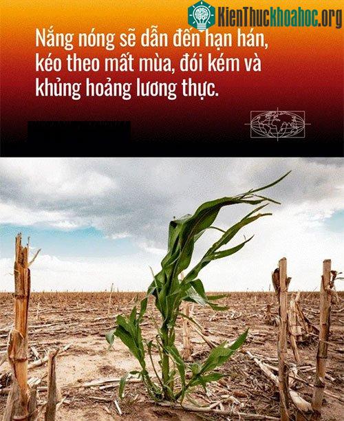 Nắng nóng sẽ dẫn đến hạn hán nghiêm trọng