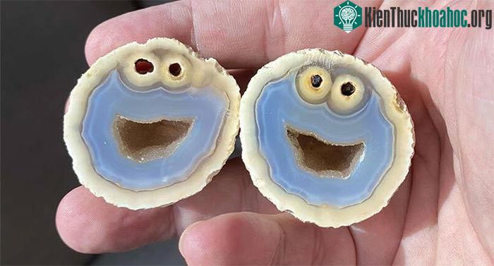 Viên tinh hốc độc đáo có hình nhân vật Quái vật bánh quy.
