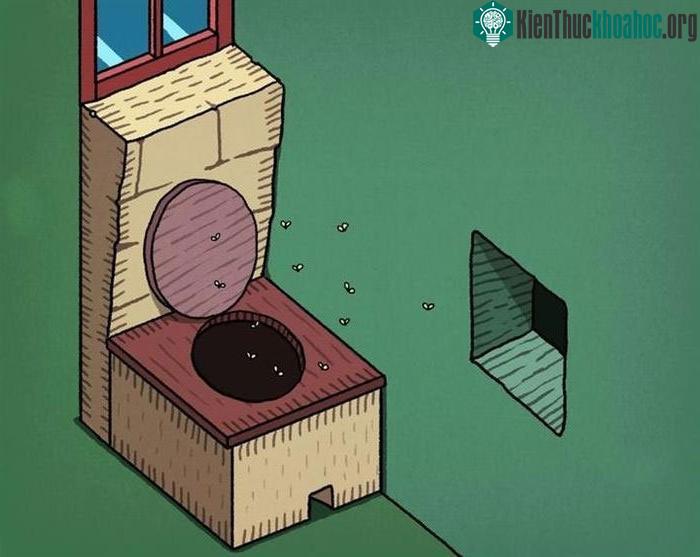 Sau khi có hệ thống thoát nước, các ca bệnh dịch tả và sốt thương hàn giảm mạnh.