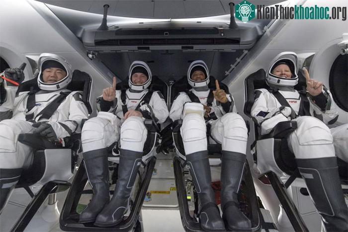 Phi hành đoàn Crew Dragon.