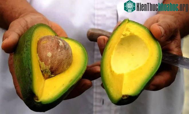 Đối với phụ nữ, quả bơ có thể giúp giảm mỡ bụng.