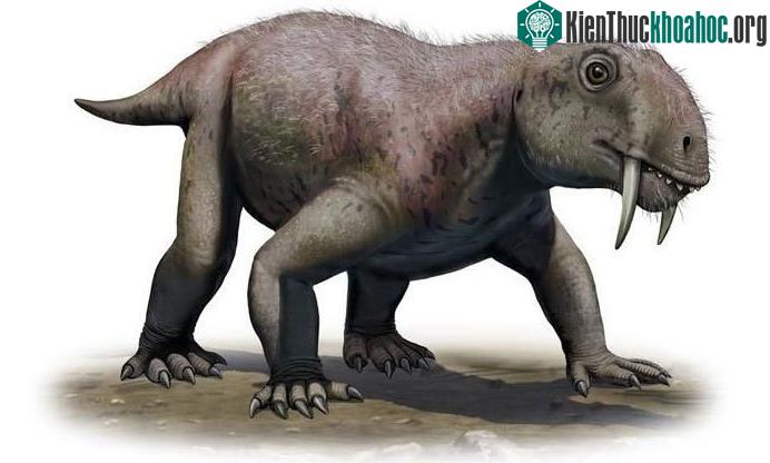 Hình minh họa mô tả Tiarajudens một chi tuyệt chủng của các loài dị thường