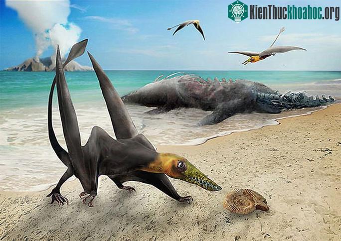 Chân dung loài dực long mới từ siêu lục địa đã tan vỡ