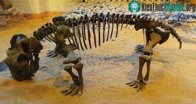 Hiện tượng cực đoan đang diễn ra trên Trái đất giống những sự kiện tuyệt chủng đã từng xảy ra trong quá khứ ảnh 0