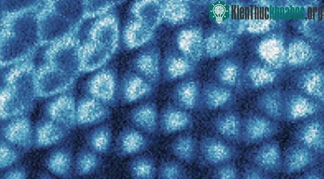 Ba nhóm nghiên cứu cùng tạo ra tinh thể từ electron, chứng minh "lời tiên tri" được đưa ra năm 1934 ảnh 0