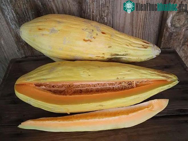 Dưa chuối