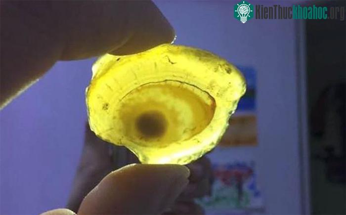 Viên đá mà chàng trai tìm thấy có họa tiết giống như một con mắt người.