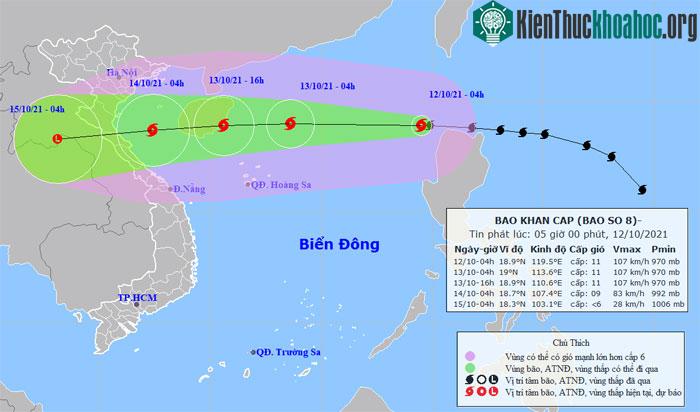 Vị trí và đường đi của bão số 8.