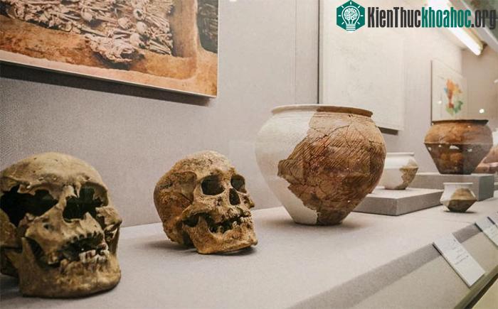 Những chiếc đầu lâu này thuộc về người da đen và người da trắng.