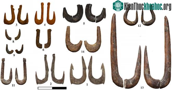 Lưỡi câu cổ đại