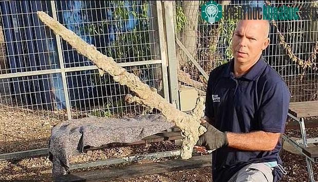 Shlomi Katzin phát hiện ra thanh kiếm cổ 900 năm tuổi.
