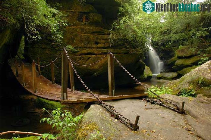 Dismals Canyon là hẻm núi sa thạch nằm ở phía bắc tiểu bang Alabama, Mỹ.