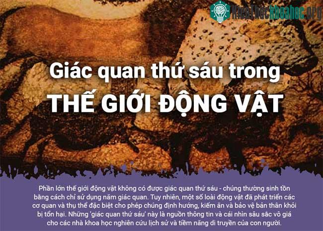 Những loài động vật có giác quan thứ 6