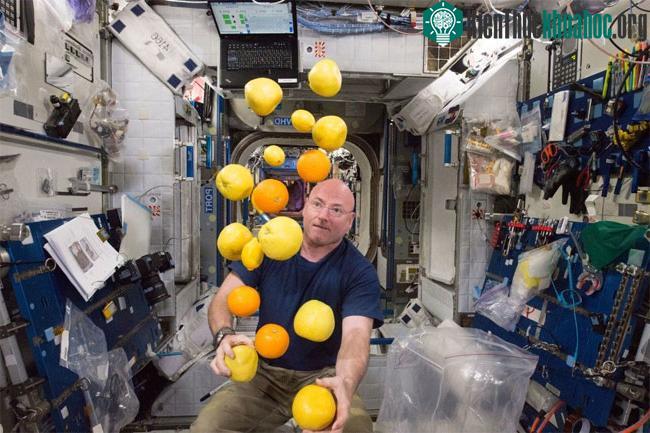 Phi hành gia NASA Scott Kelly
