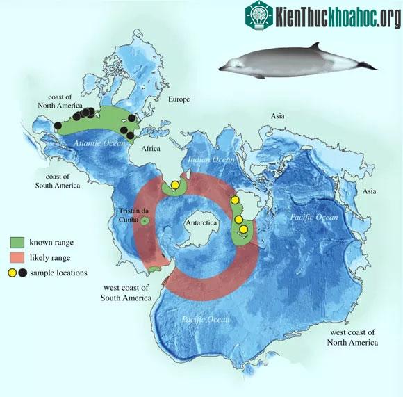 Bản đồ phân bố của sinh vật mới