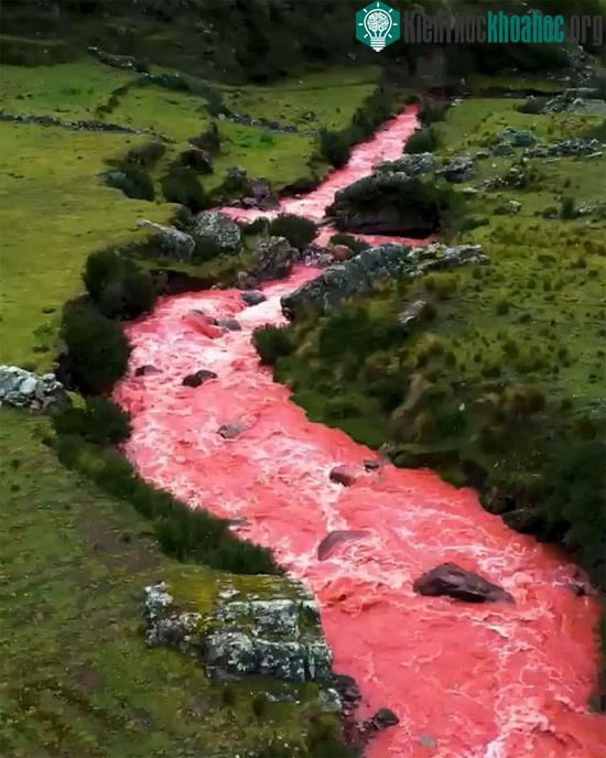 Sông Hồng ở Peru