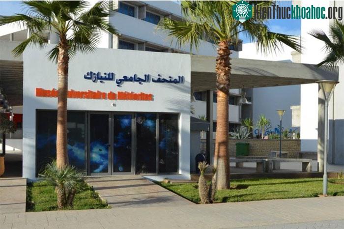 Bảo tàng đá ở Agadir là nơi lưu giữ mẫu vật có niên đại ngang với Mặt Trời.