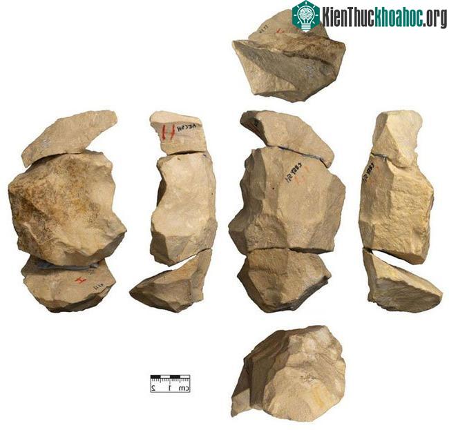 Các công cụ của người Neanderthals