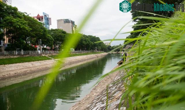 Dòng sông Tô Lịch nước xanh ngắt không còn bốc mùi.