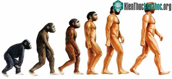 Thuyết tiến hóa của Darwin