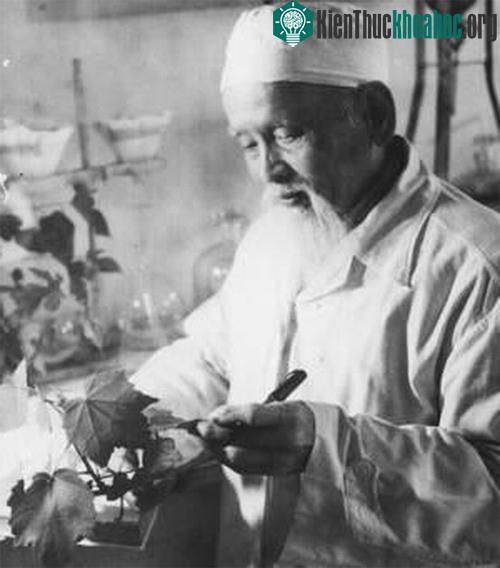 Lương y Phó Đức Thành.