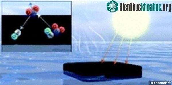 Phân bò giúp lọc nước biển thành nước tinh khiết ảnh 1